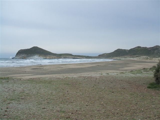 dscf3707.jpg