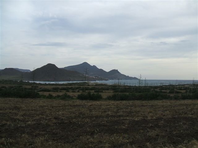 dscf3709.jpg