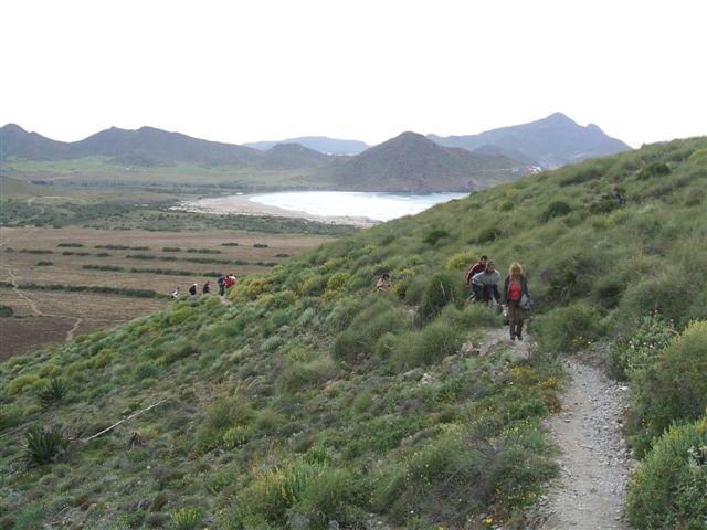 dscf3710.jpg