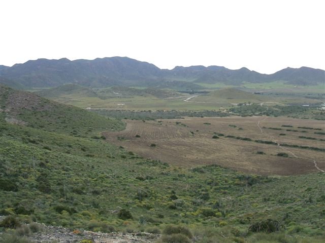 dscf3713.jpg