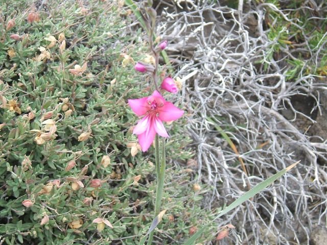 dscf3725.jpg