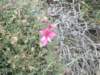 dscf3725_small.jpg