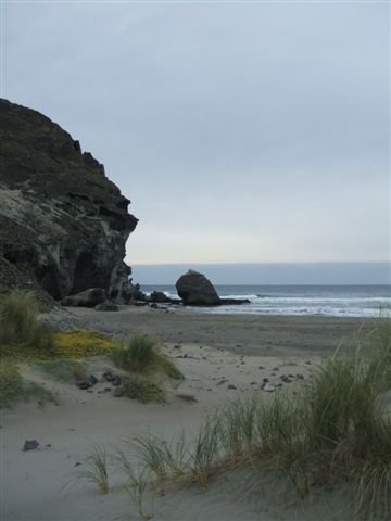dscf3732.jpg