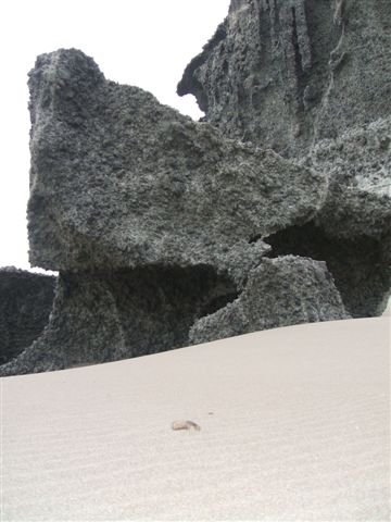 dscf3735.jpg