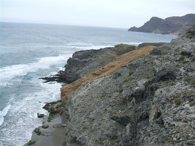 dscf3765.jpg