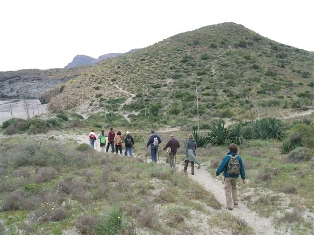 dscf3771.jpg