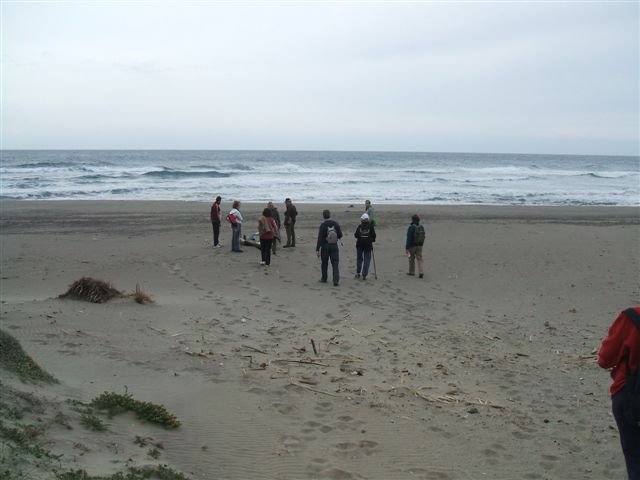 dscf3773.jpg