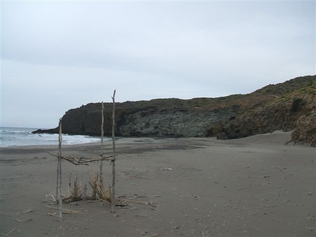 dscf3774.jpg