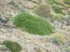 dscf3786_small.jpg