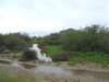 dscf3817_small.jpg