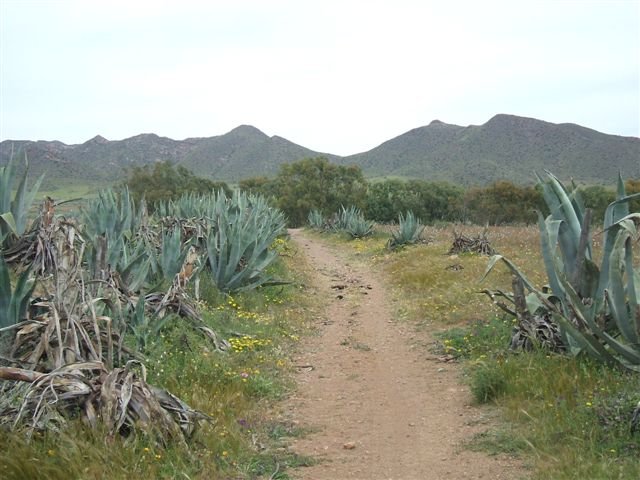 dscf3820.jpg