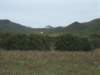 dscf3821_small.jpg