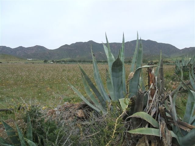 dscf3822.jpg