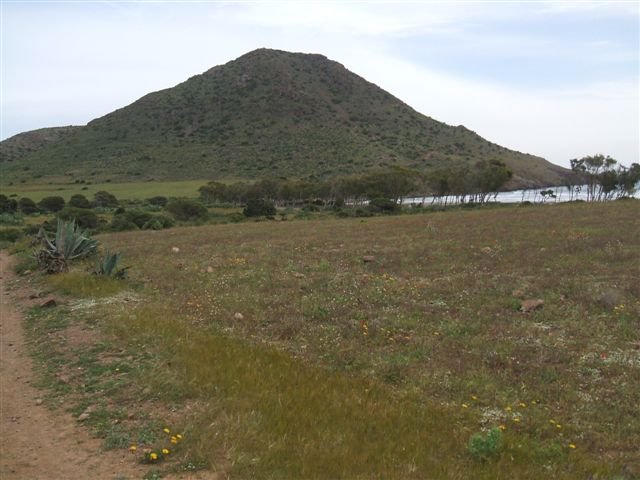 dscf3826.jpg