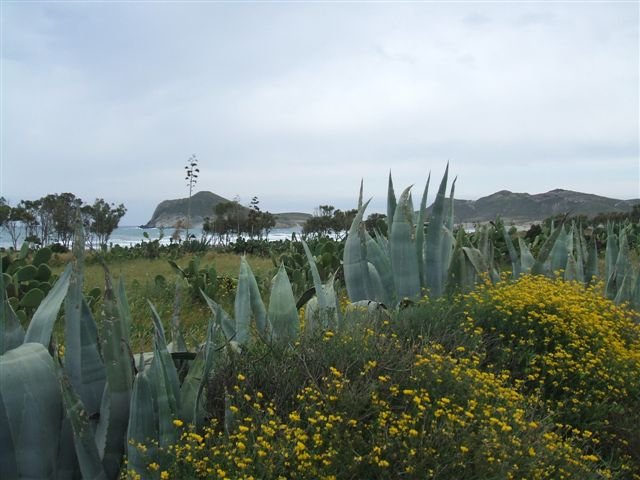 dscf3829.jpg