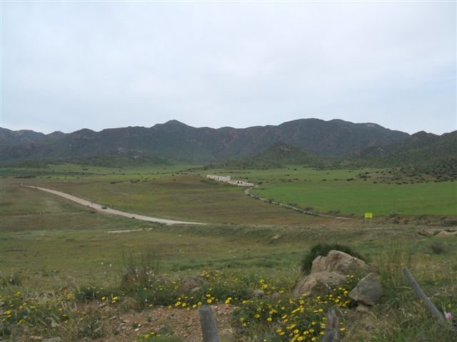 dscf3834.jpg