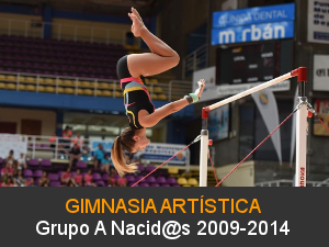 Gimnasia Artistica 2009-2014 Grupo A